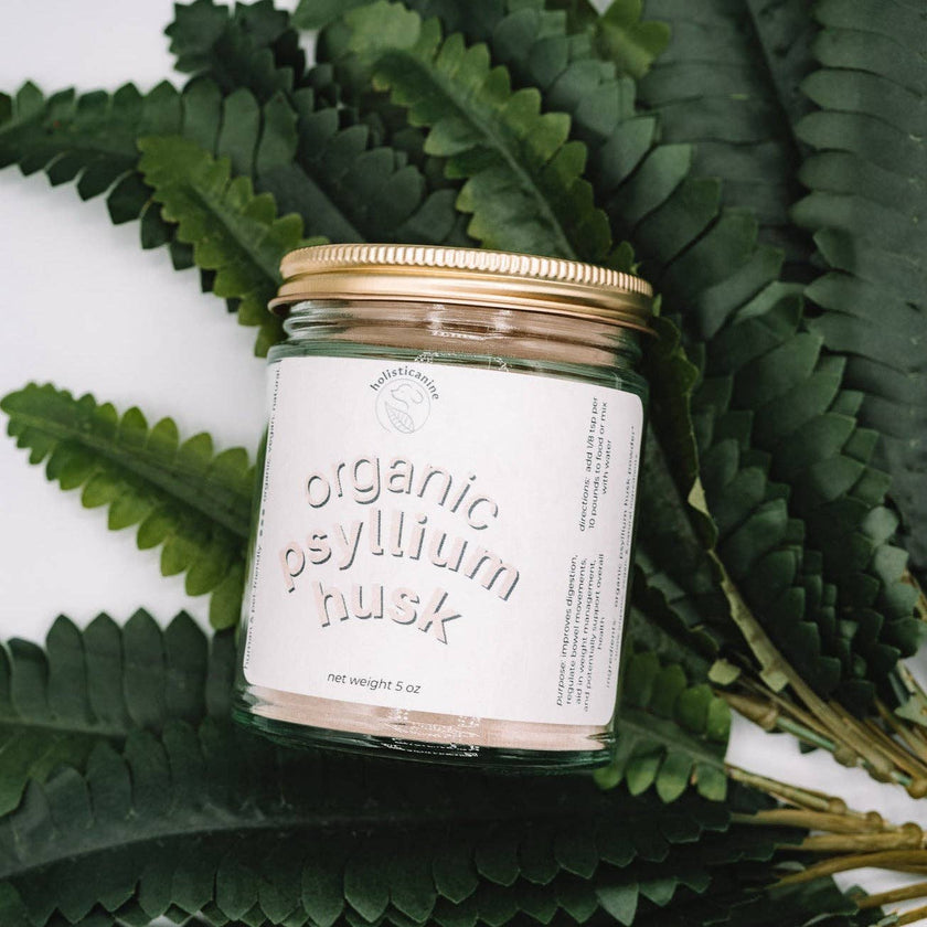 Organic Psyllium Husk Supplement | Gastrointestinal Tract Health