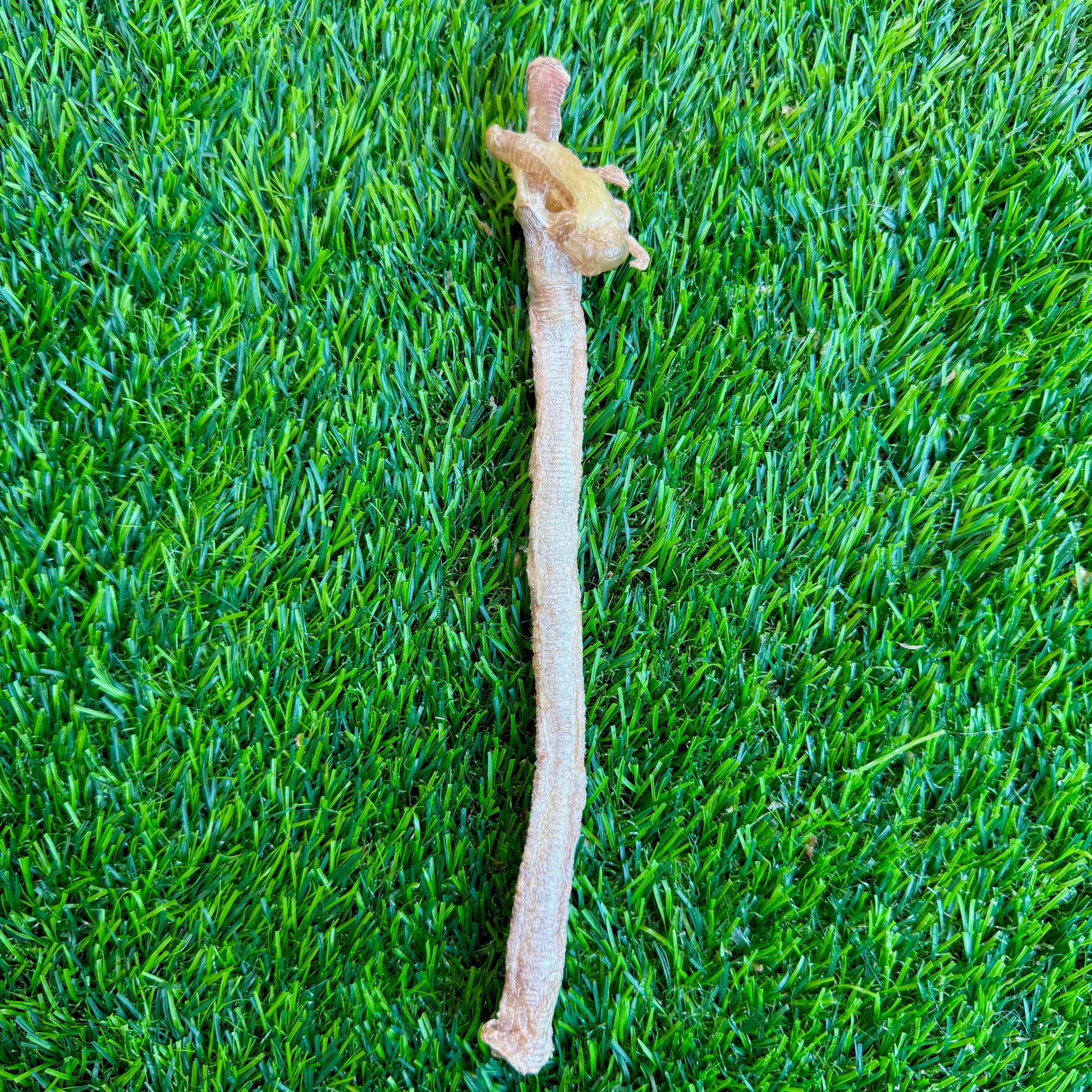 Duck Tracheas - Bag of  20 -  for Cats, Puppies, Small Dogs