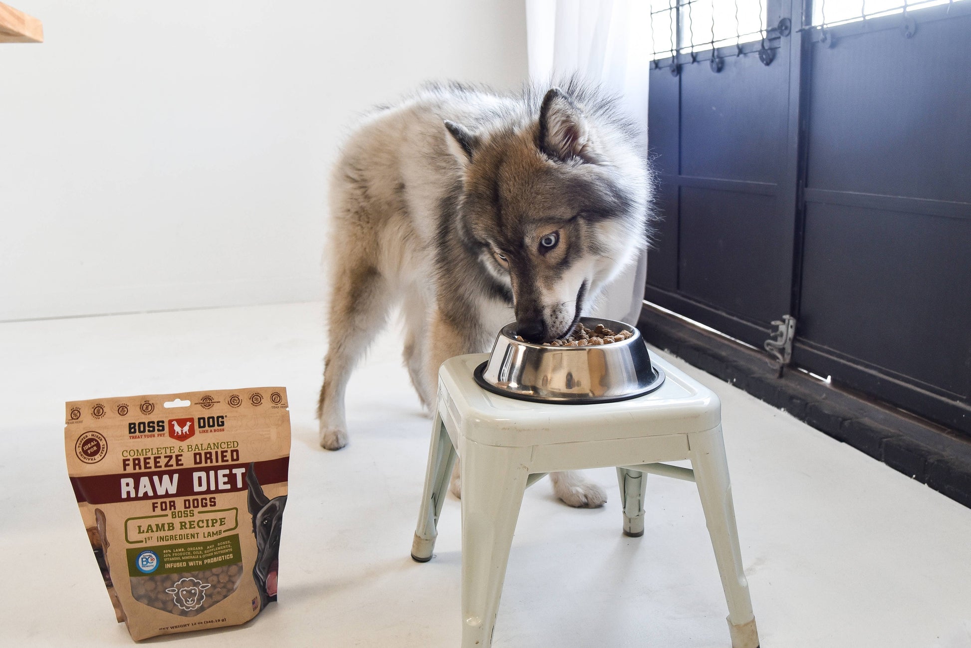 Boss Dog Freeze Dried Raw Diet - Lamb (12oz)