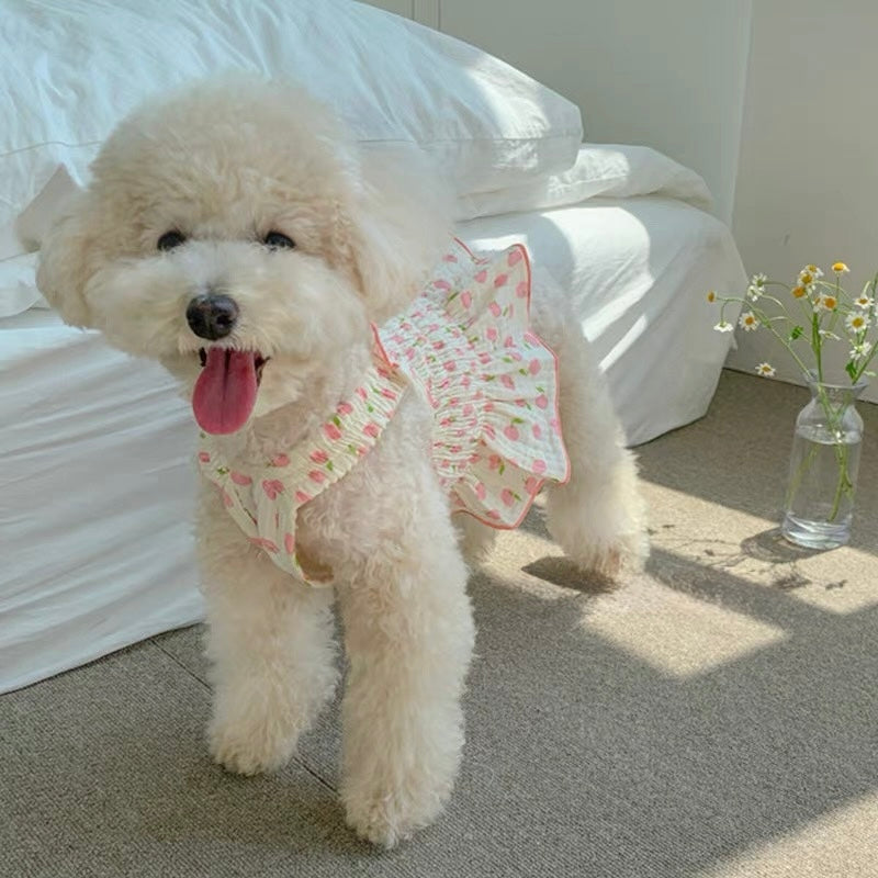 Summer Vibes Dress