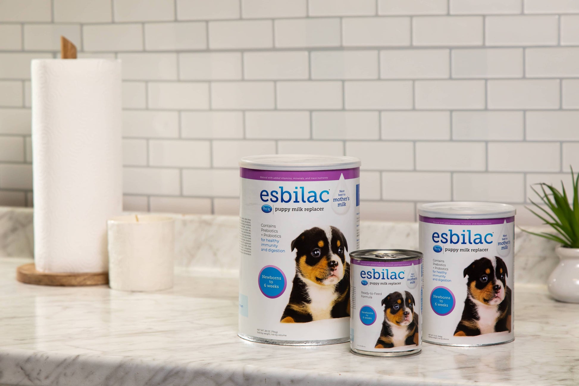Esbilac Powder, 12 oz. for puppy