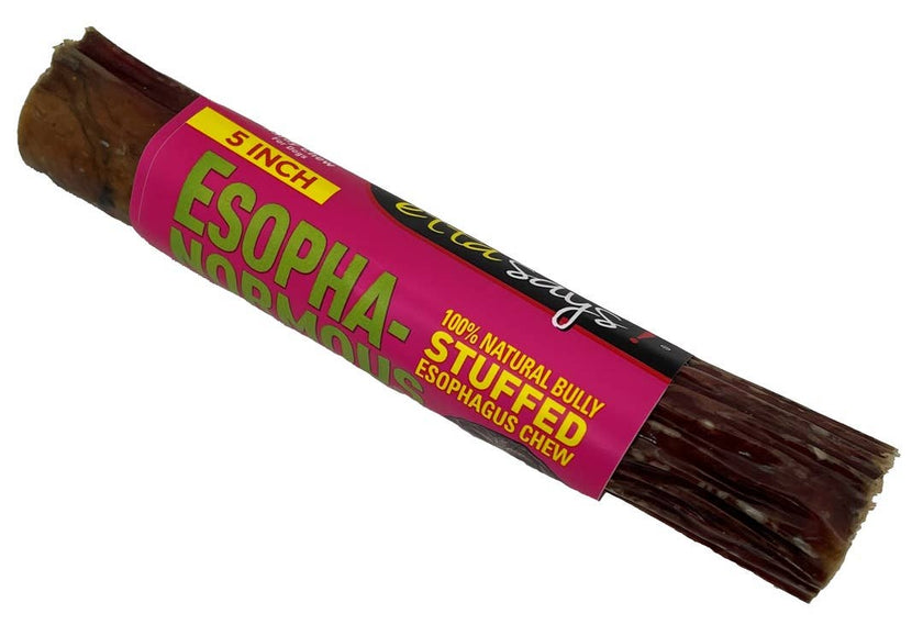 Etta Says! Esophagus Stuffed Bully Sticks Dog Chew 5in 1ct