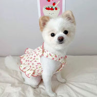 Summer Vibes Dress