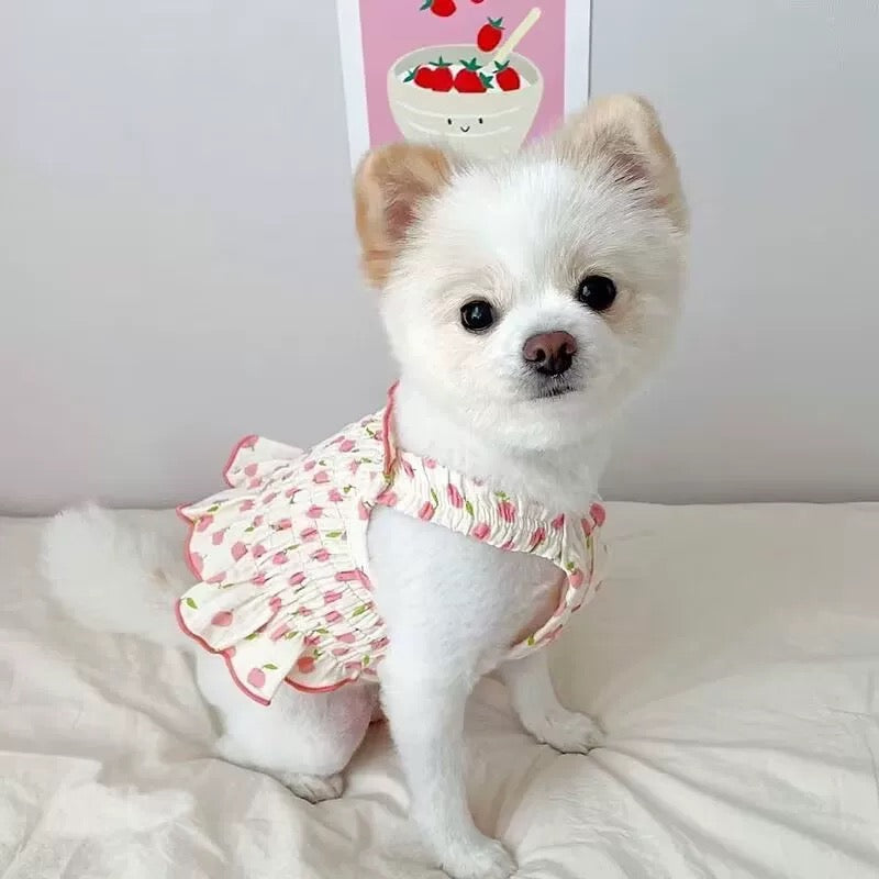 Summer Vibes Dress
