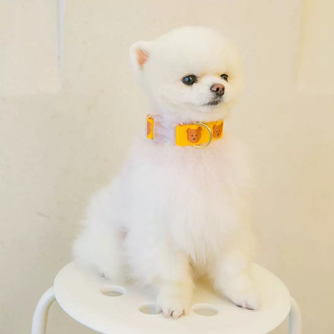 Bear Print Collar & Leash