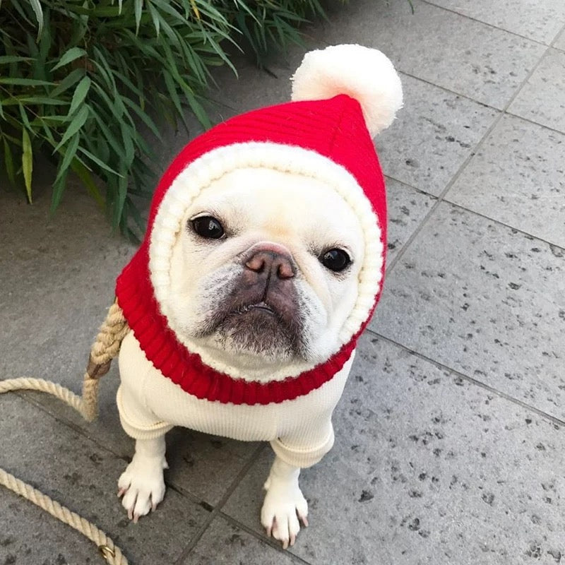 Red Christmas hat for pets