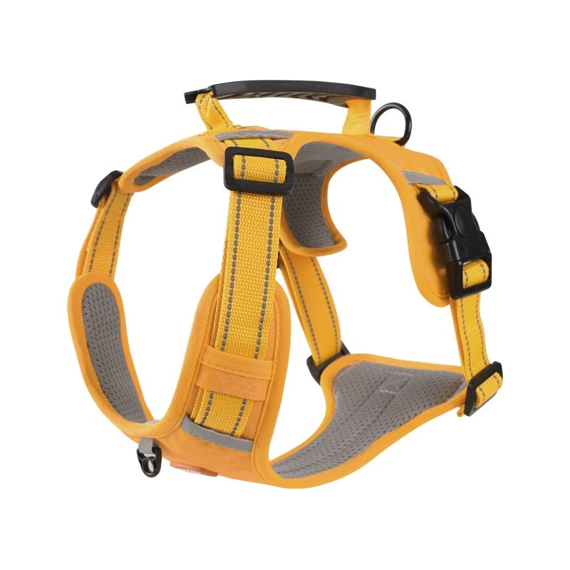 Harness ONLY