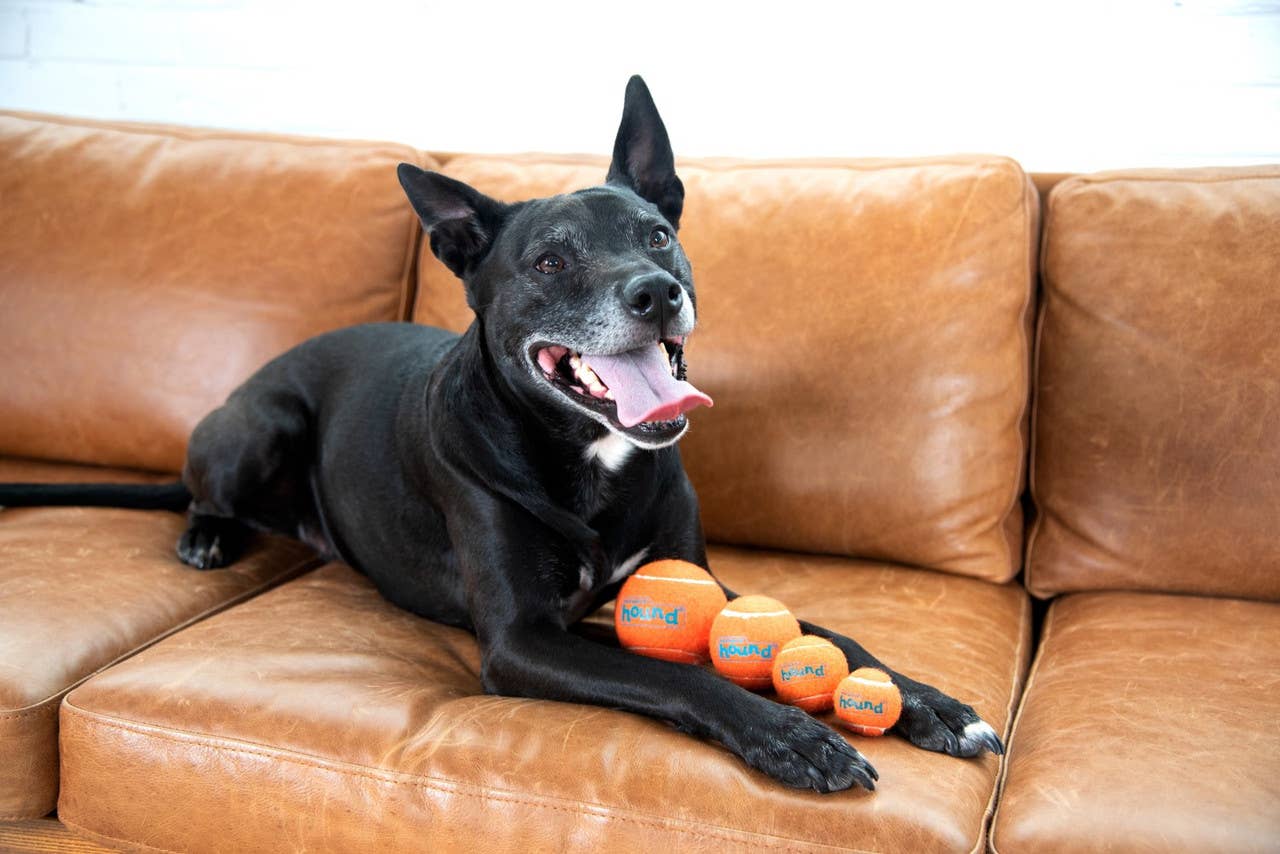 Outward Hound Squeaker Ballz Multicolor Small 4pk
