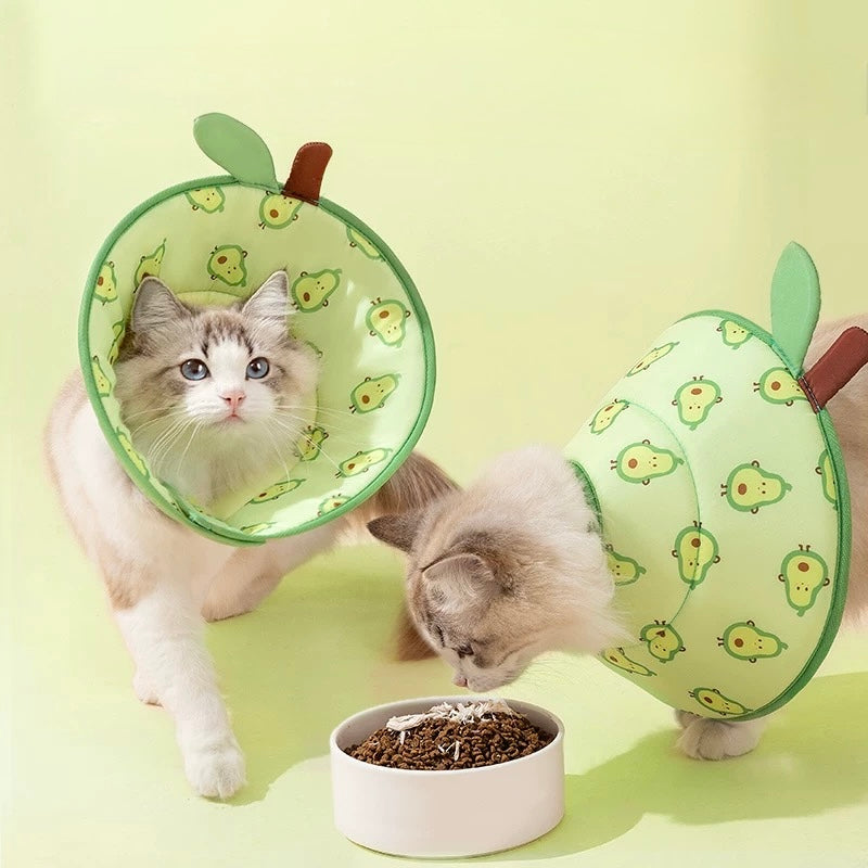 Comfy Elizabeth Cone