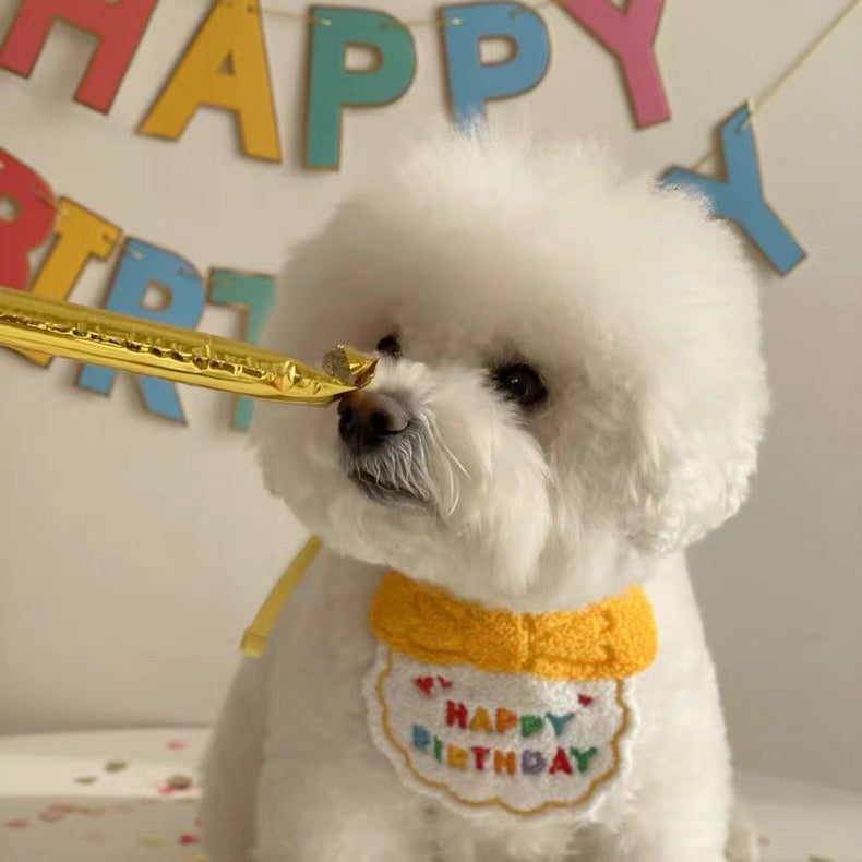 Birthday Bibs
