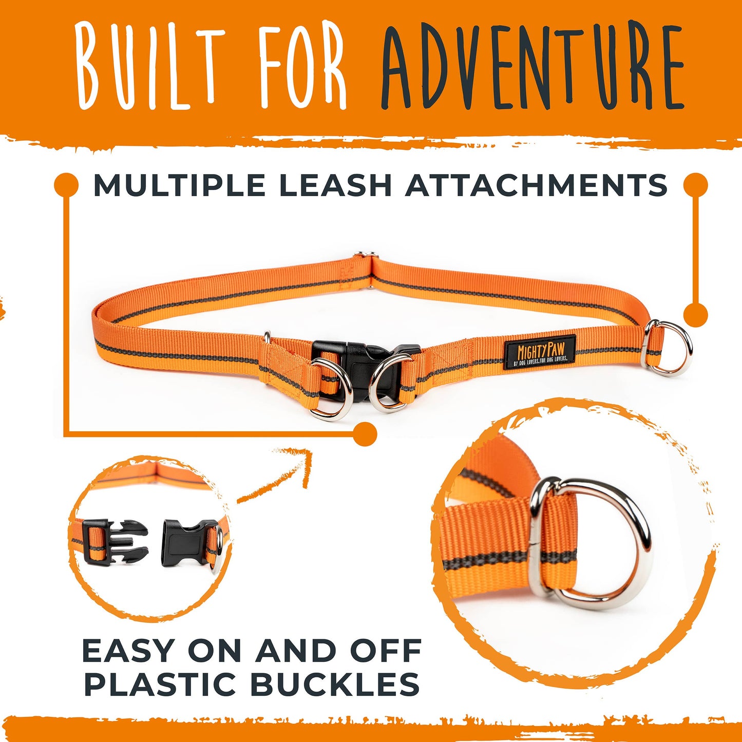 Hands Free Bungee Leash 2.0
