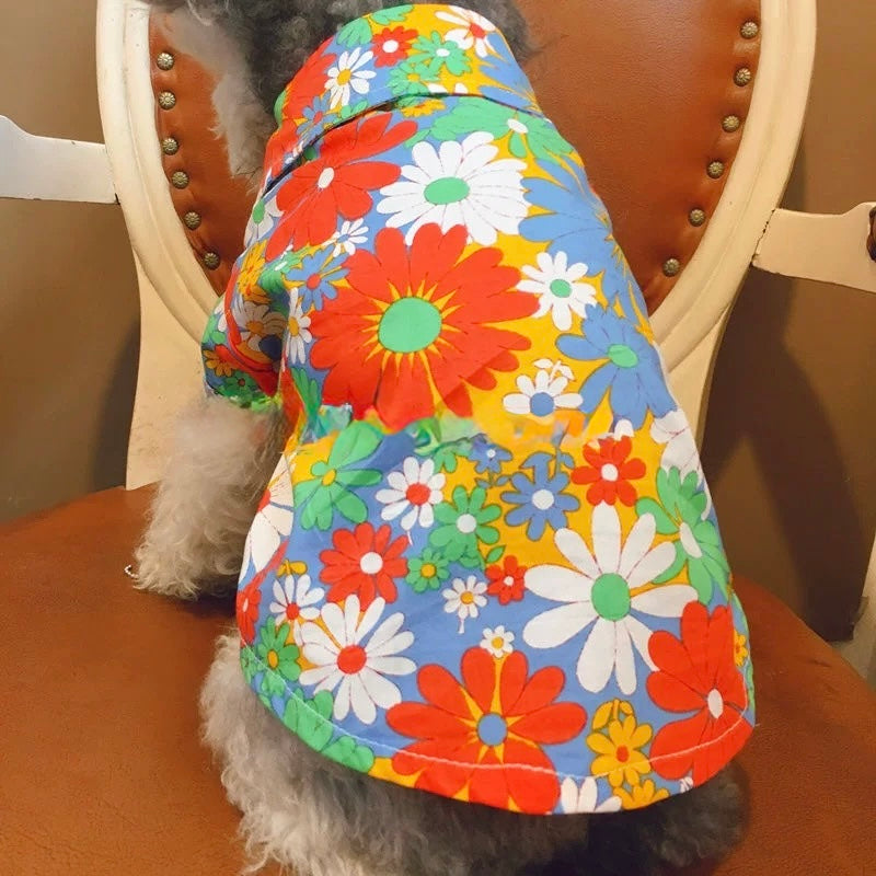 Summer Shirt