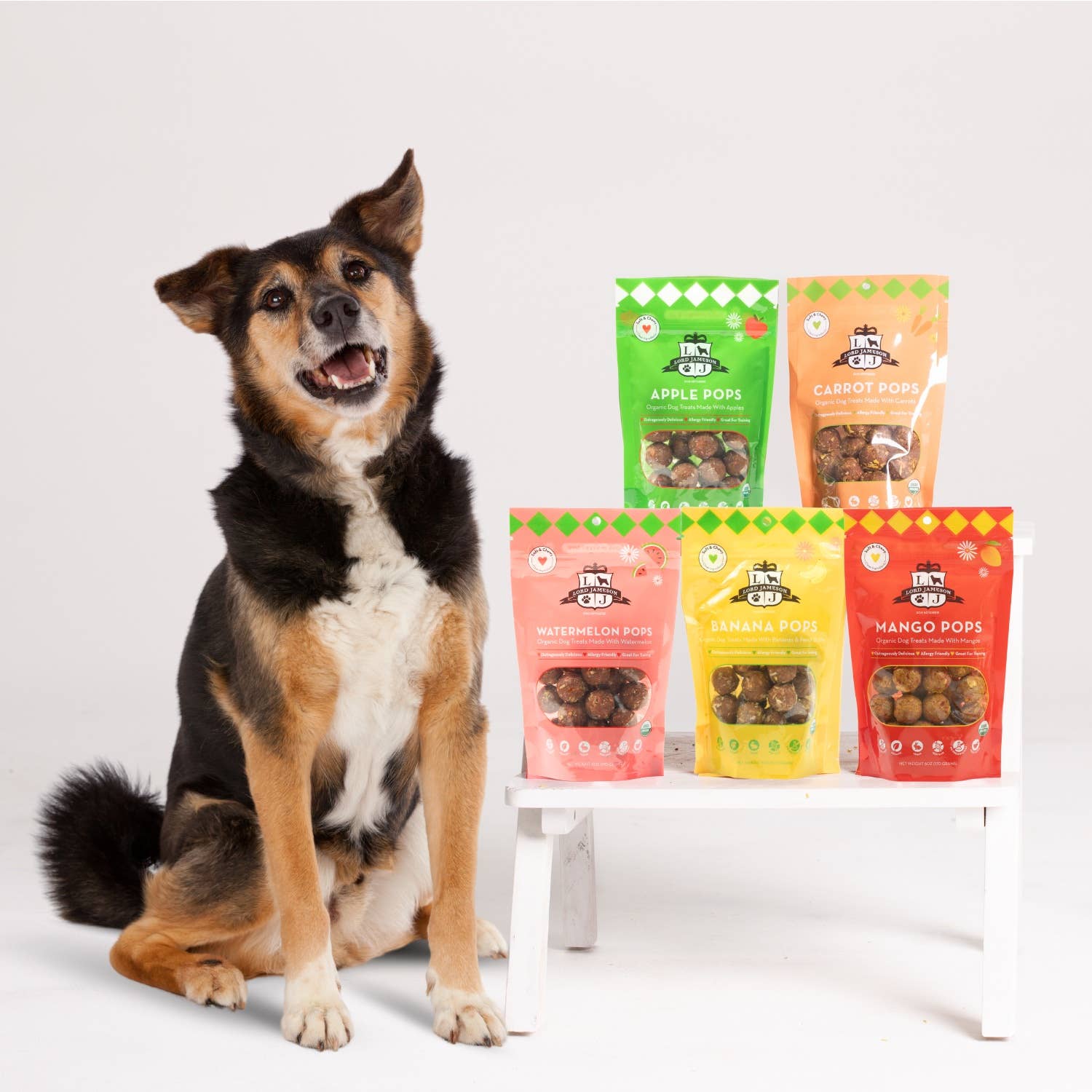 Lord Jameson Apple Pops Organic Dog Treats 6oz
