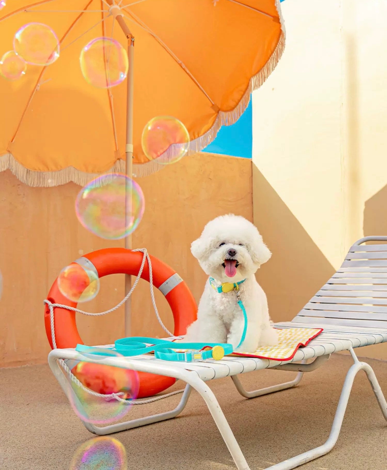 Waterproof collar and leash