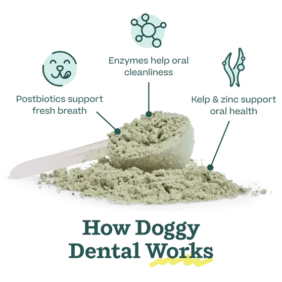 Pupsicle Mix- Doggy Dental