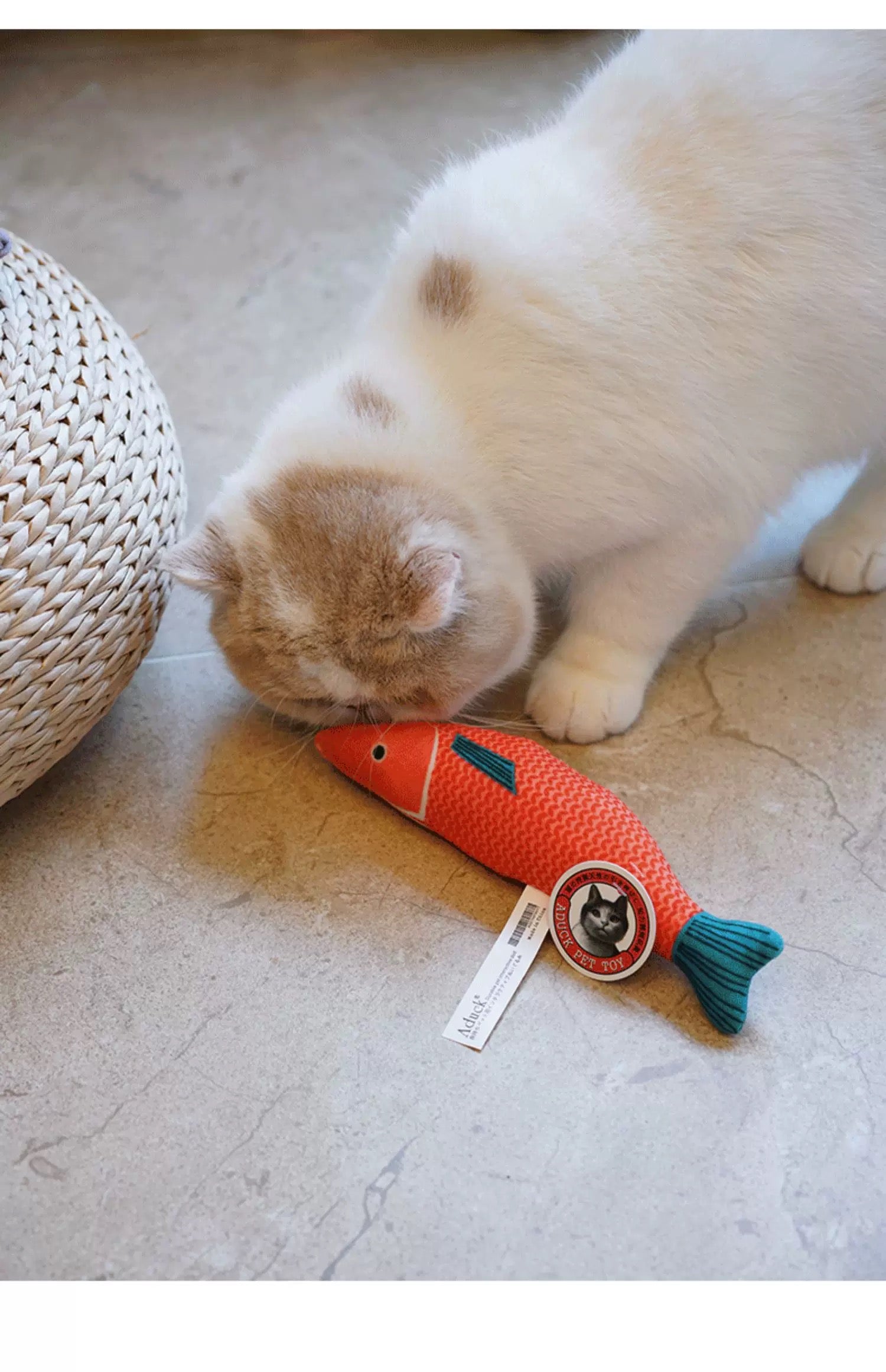 Sound Fish Plush Toy