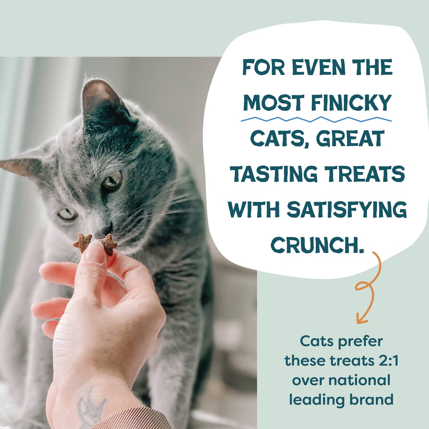 Catnip N Chill Chicken Liver 2.5oz