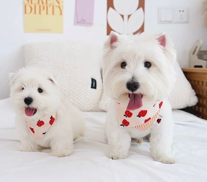 Chichipaws Pet Bibs