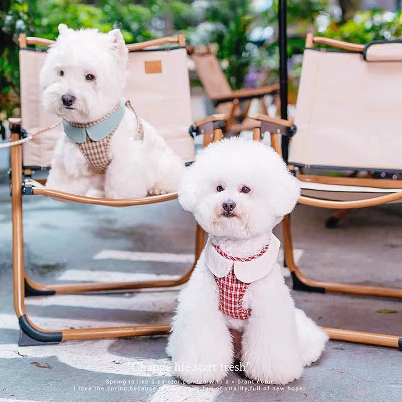 Plaid Harness + Leash Set