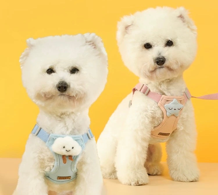 Weather Harness