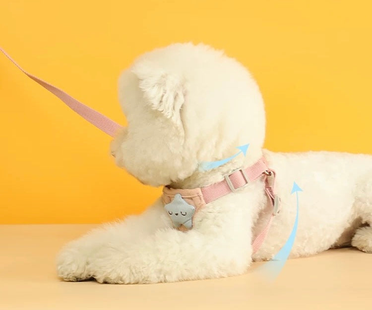 Weather Harness