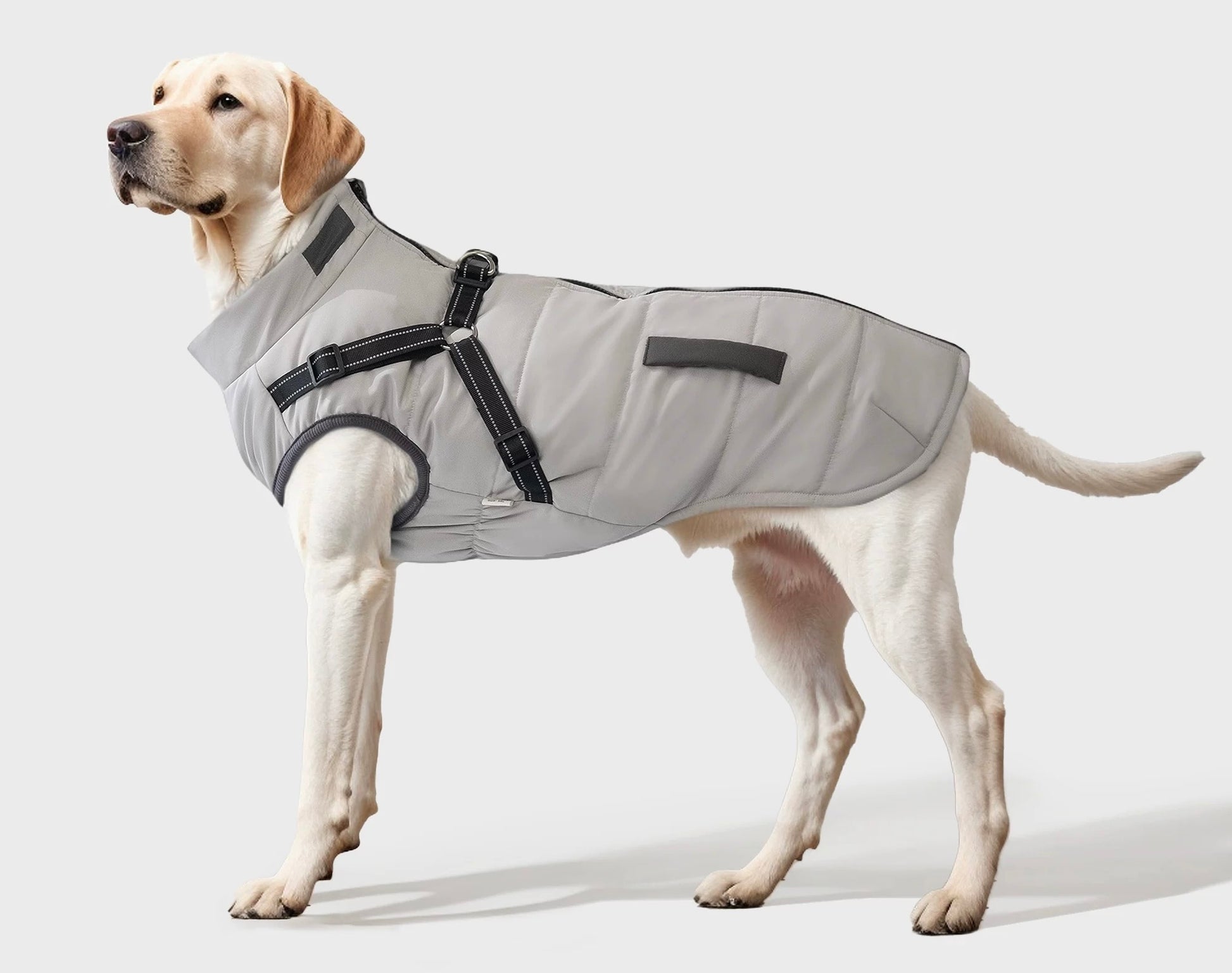 Puffer Coat with an Integrated popocola Harness for dogs