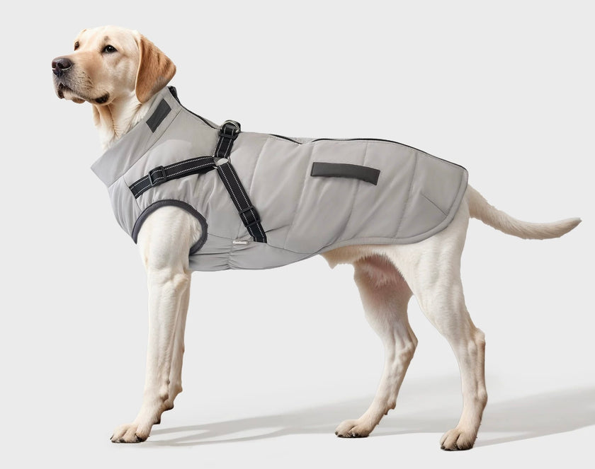 Puffer Coat with an Integrated popocola Harness for dogs