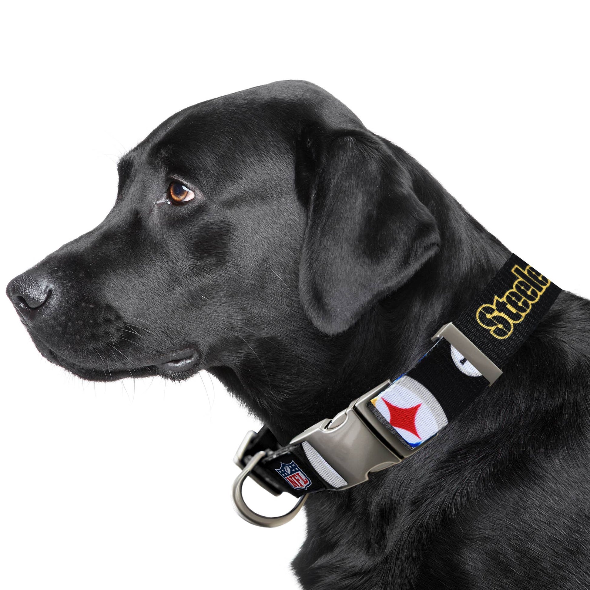 NFL Pittsburgh Steelers Premium Pet Collar
