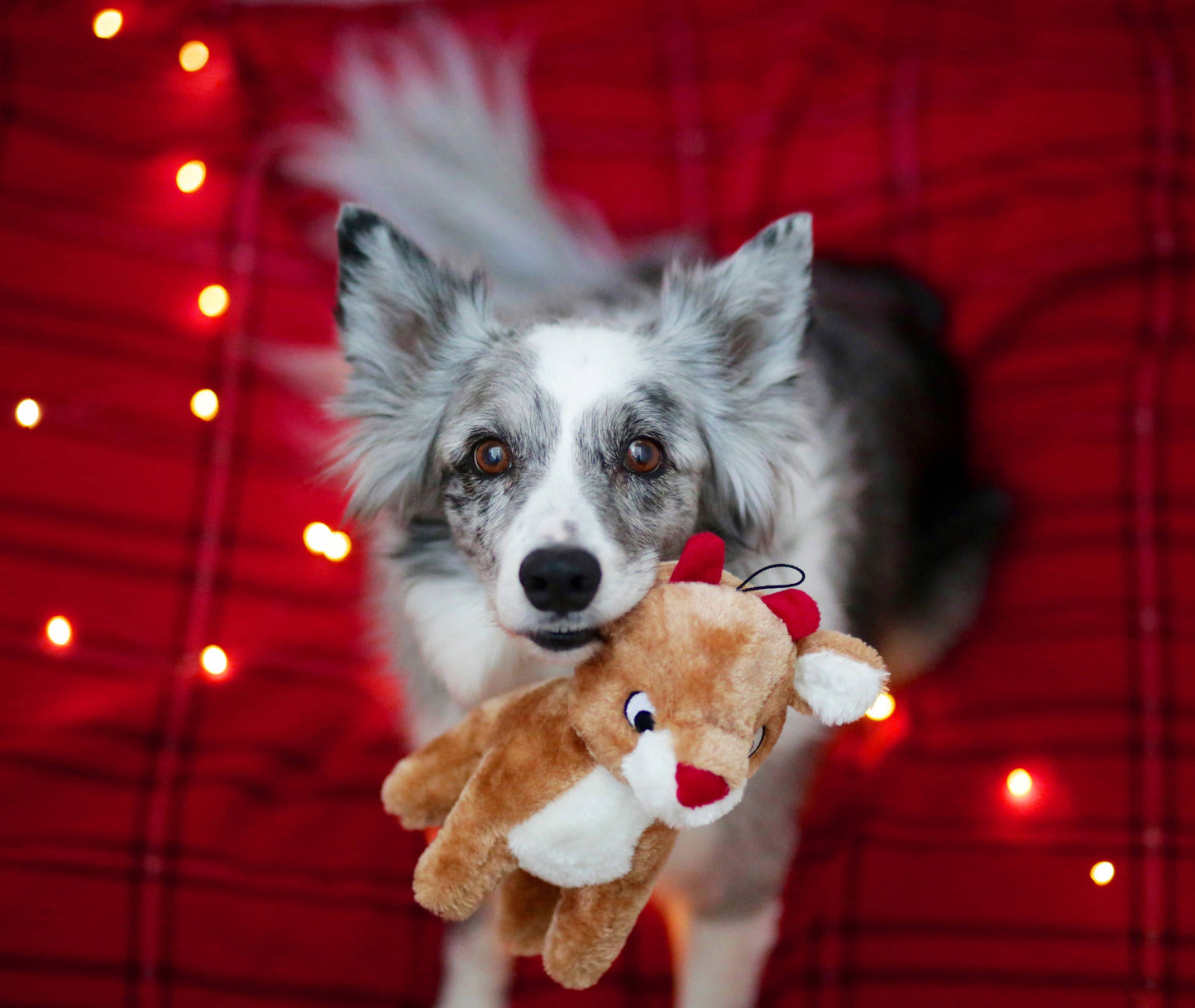 ZippyPaws Holiday Deluxe Reindeer