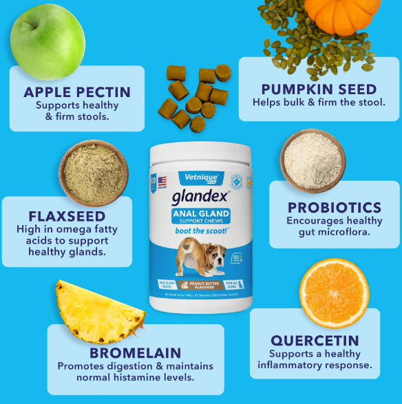 Glandex Anal Gland Support Soft Chews Pork Liver Flavor 30ct