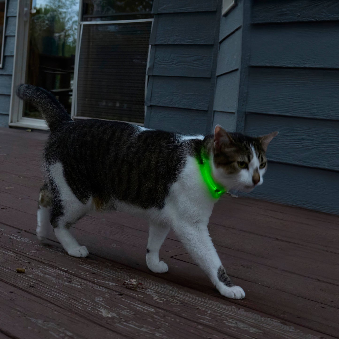 Nite Ize NiteMeow Rechargeable LED Safety Necklace Disc-O