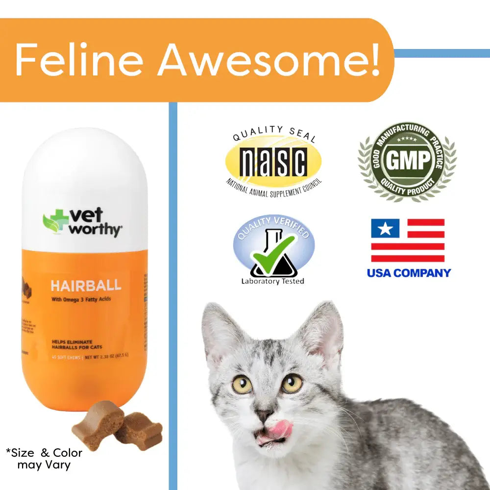 Vet Worthy Hairball Support w/ Pumpkin Soft Chews Feline 60c