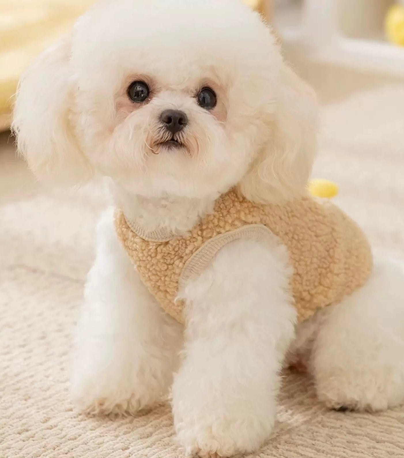 Winter Vest Harness