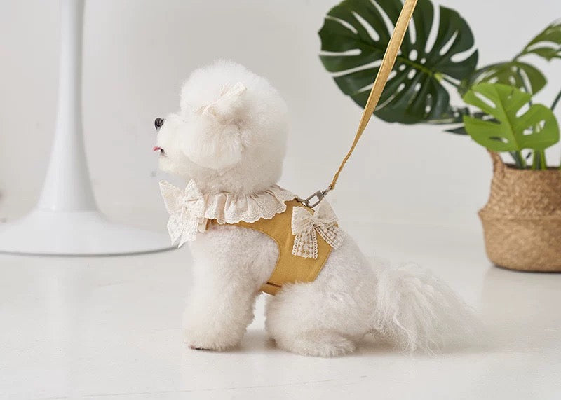 Lace Ribbon Harness +Leash Set, Mustard Yellow