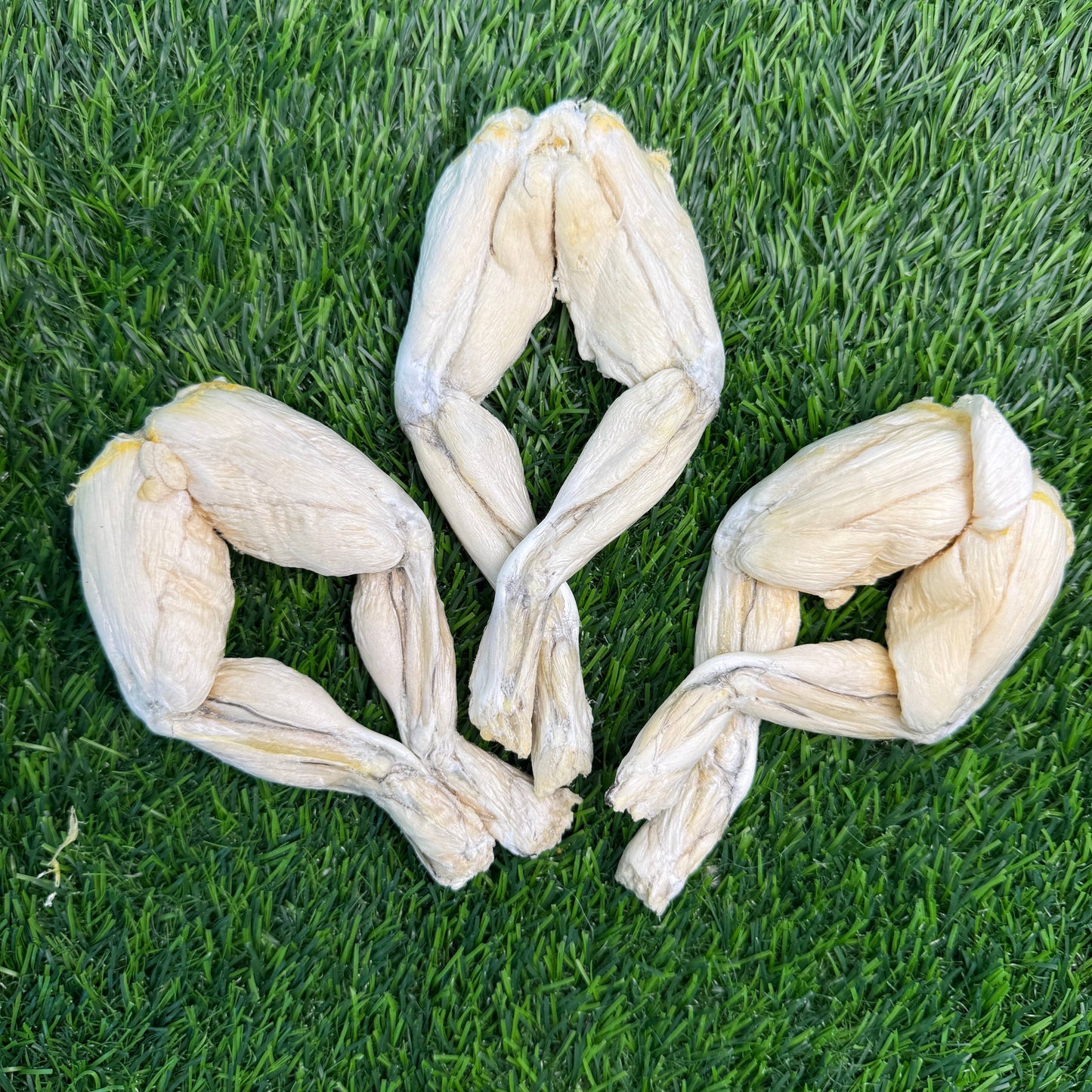 Frog Leg - Bag of 4 -Freeze-Dried Treat/Chew for Dogs & Cats