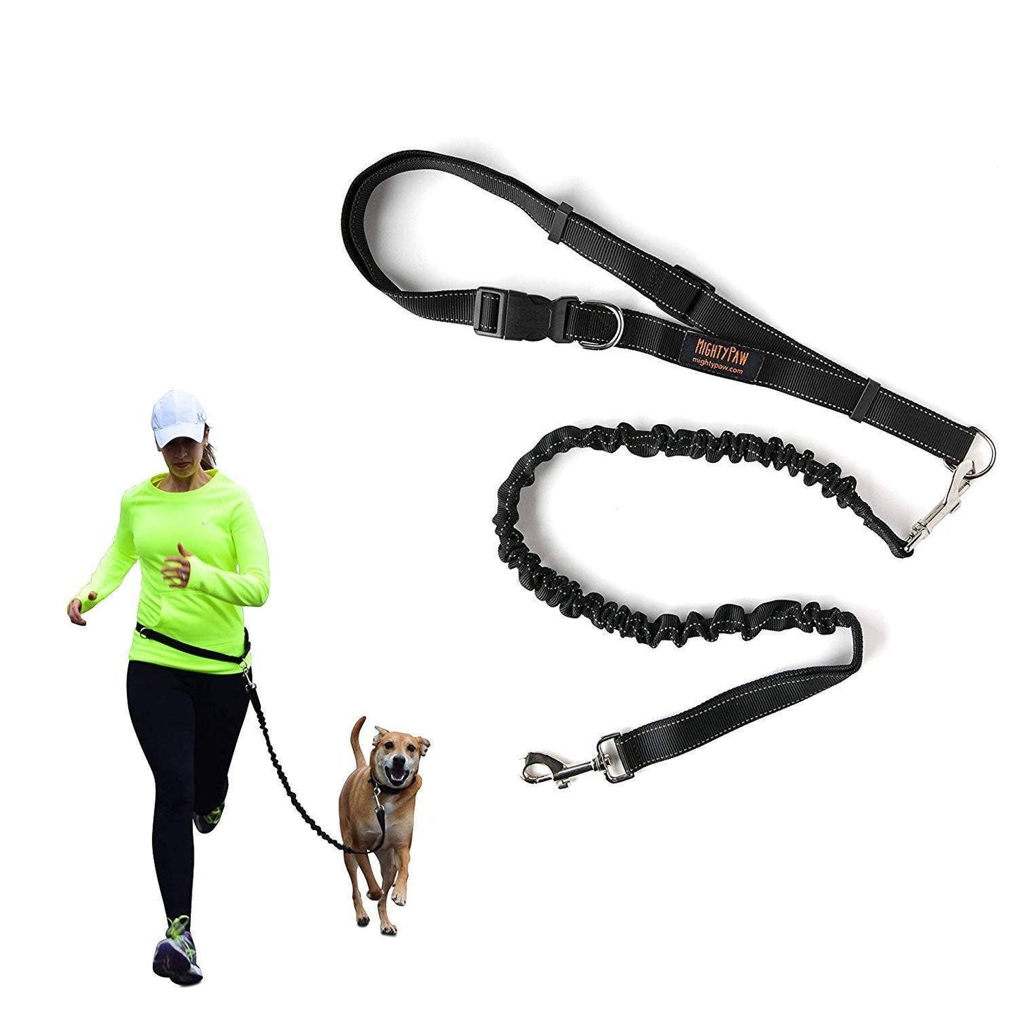 Hands Free Bungee Leash Set