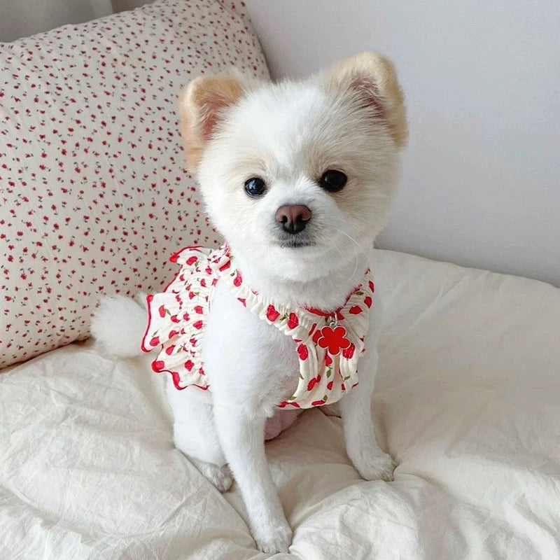 Summer Vibes Dress
