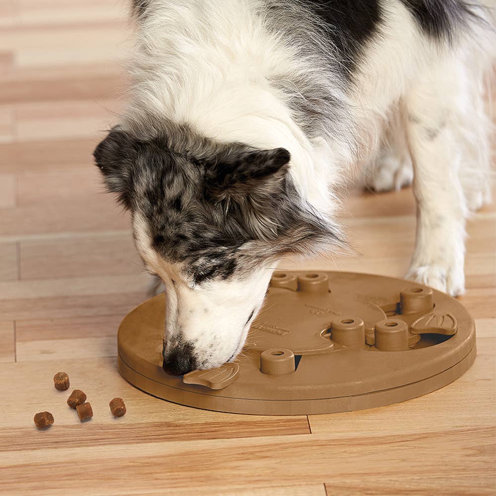 Nina Ottosson Dog Worker Interactive Dog Puzzle Composite