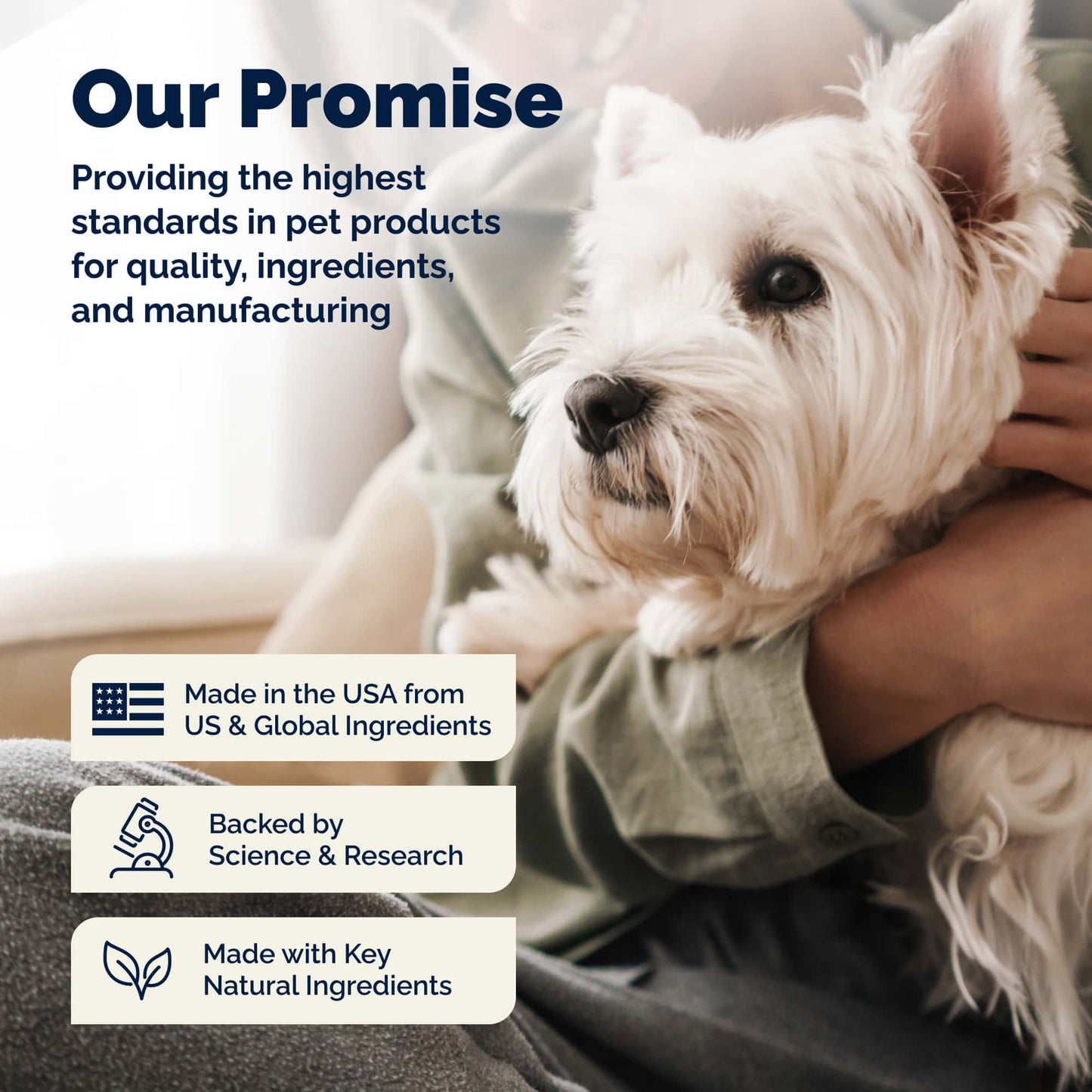 Glandex Rear End Pet Wipes Package