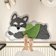 Absorbent Bathroom Mat