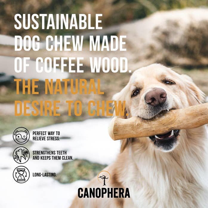 Coffee Wood Dog Chews 1 ct random