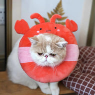 Cat Elizabeth Collar