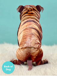 English Bulldog 1ct