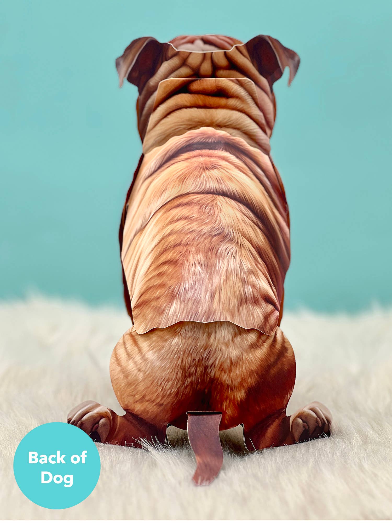 English Bulldog 1ct