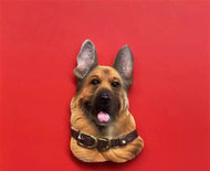 Pet Fridge Magnets