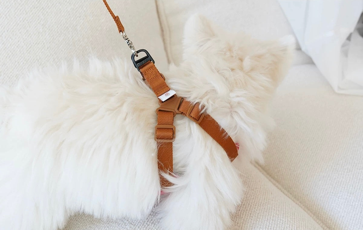 Pet Christmas Chest Strap