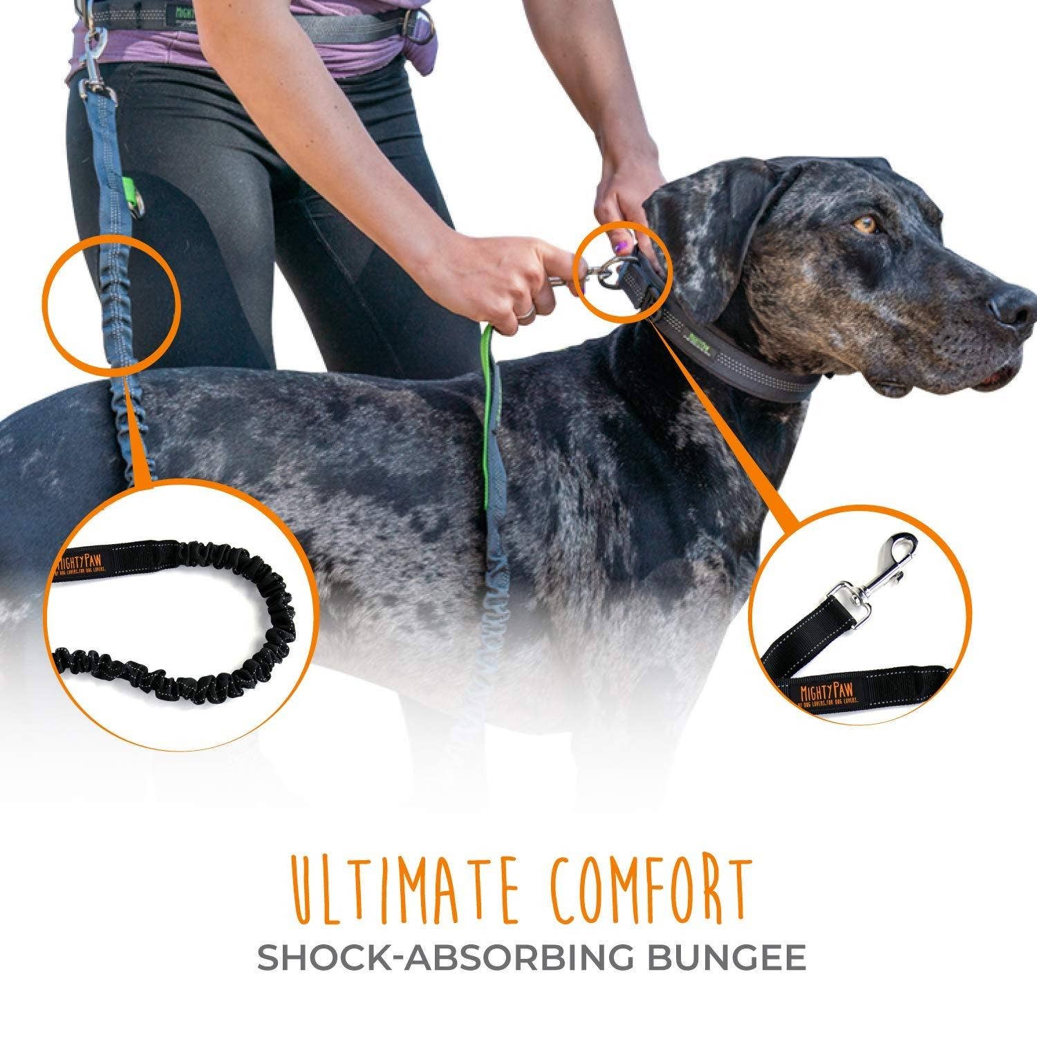 Hands Free Bungee Leash Set