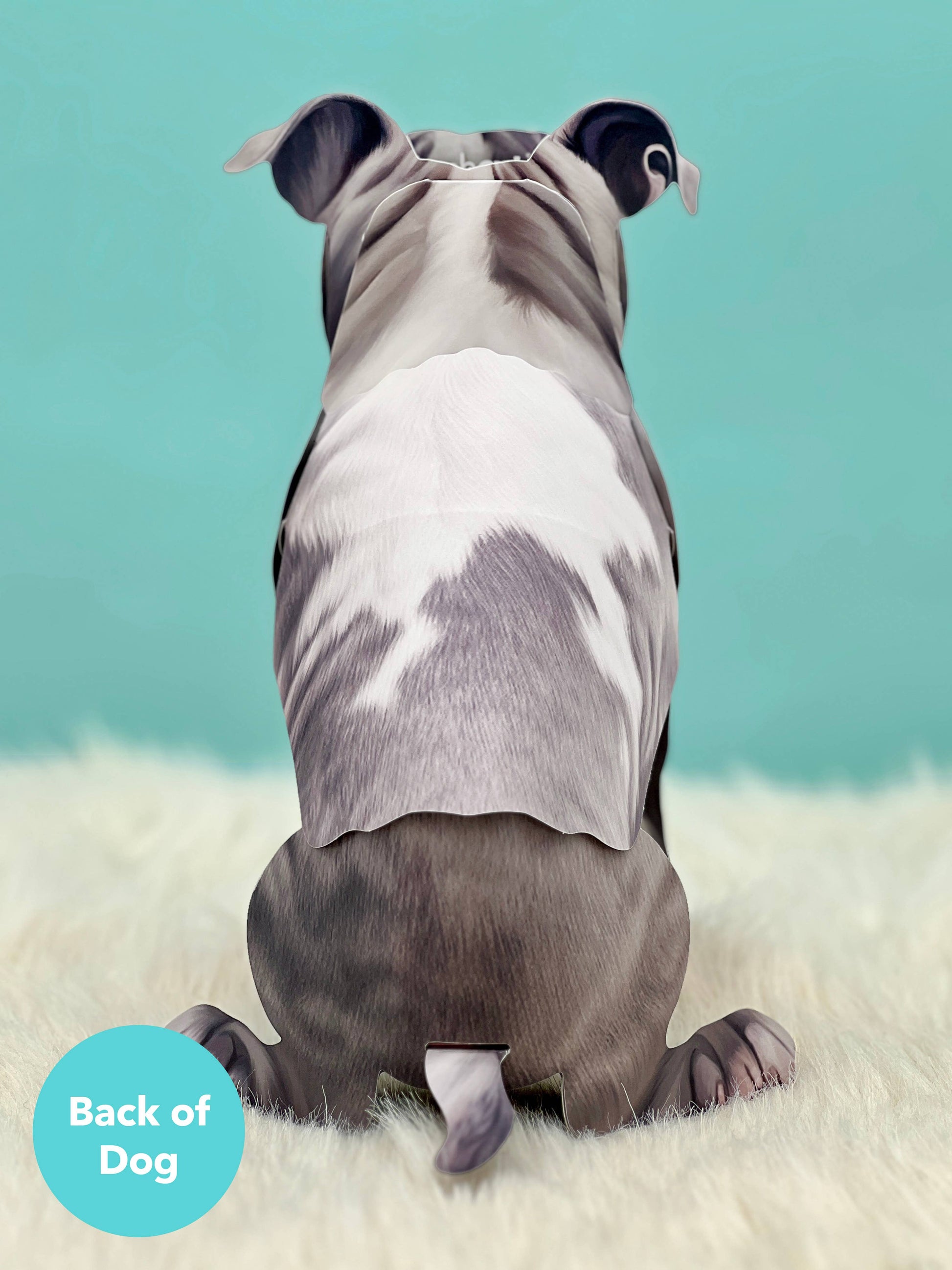 Gray Pitbull 1ct