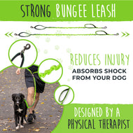 Hands Free Bungee Leash 2.0