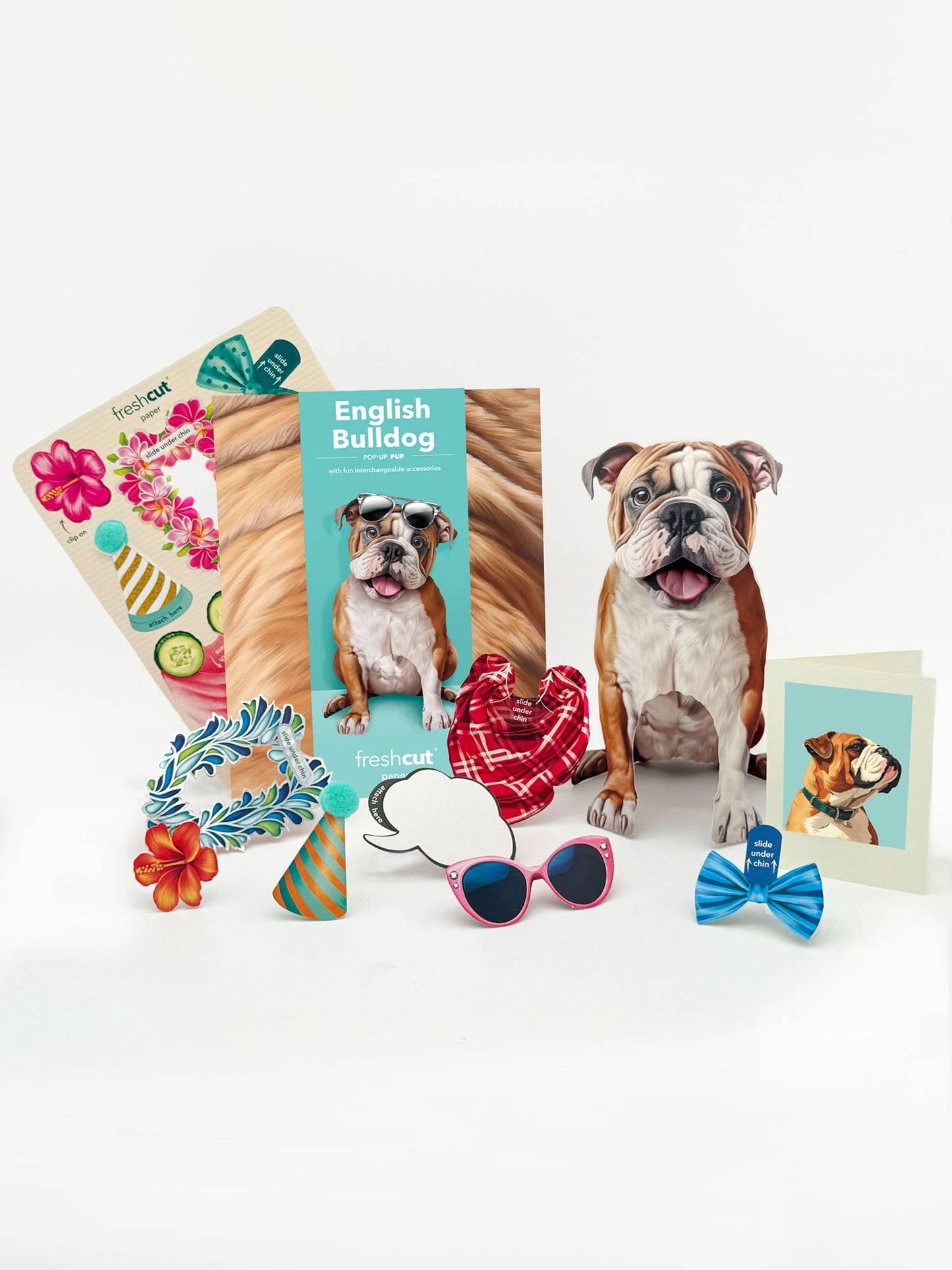 English Bulldog 1ct